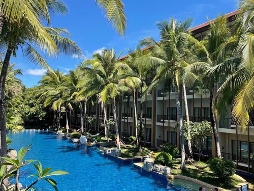 疫情2年后 旅游從業(yè)者過的如何